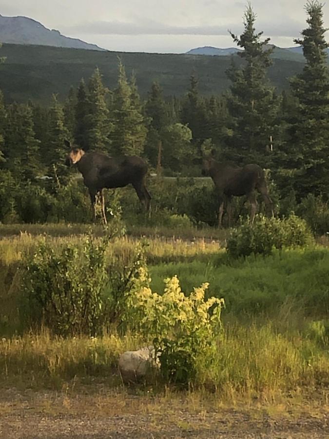 Denali Park Hotel Healy Zewnętrze zdjęcie