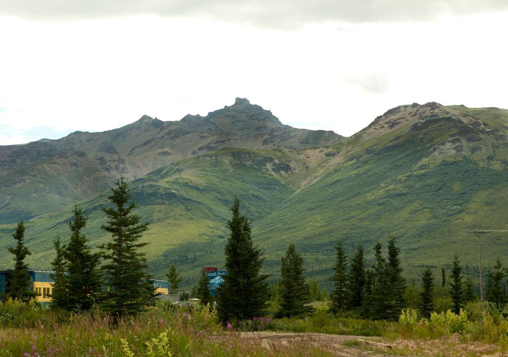 Denali Park Hotel Healy Zewnętrze zdjęcie