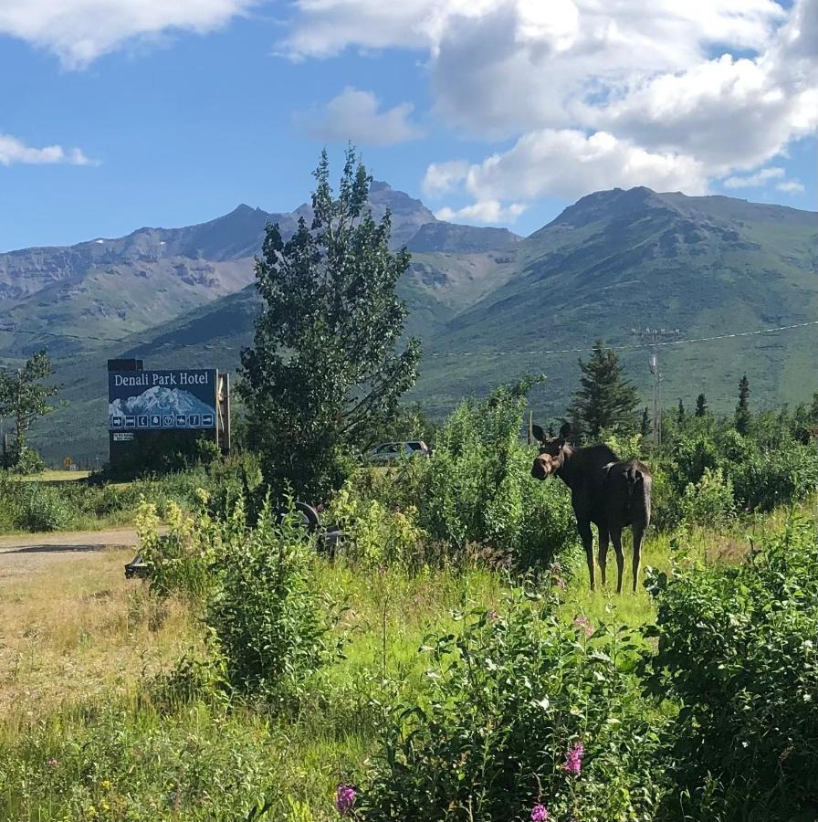 Denali Park Hotel Healy Zewnętrze zdjęcie