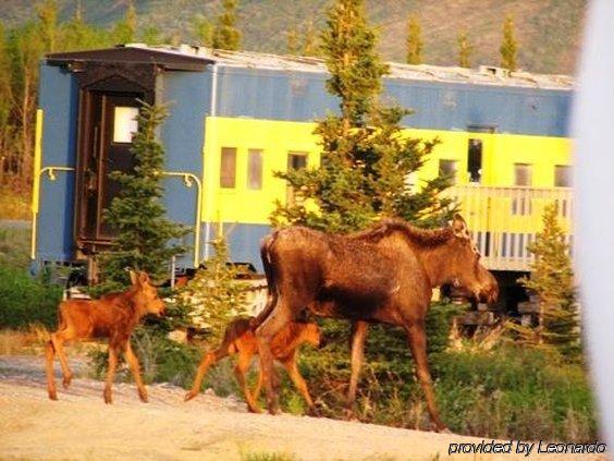 Denali Park Hotel Healy Zewnętrze zdjęcie