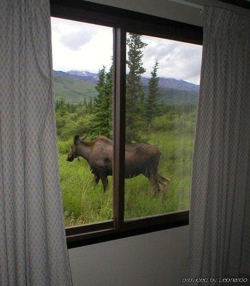 Denali Park Hotel Healy Zewnętrze zdjęcie